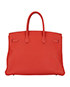 Birkin 35 in Togo Leather, back view